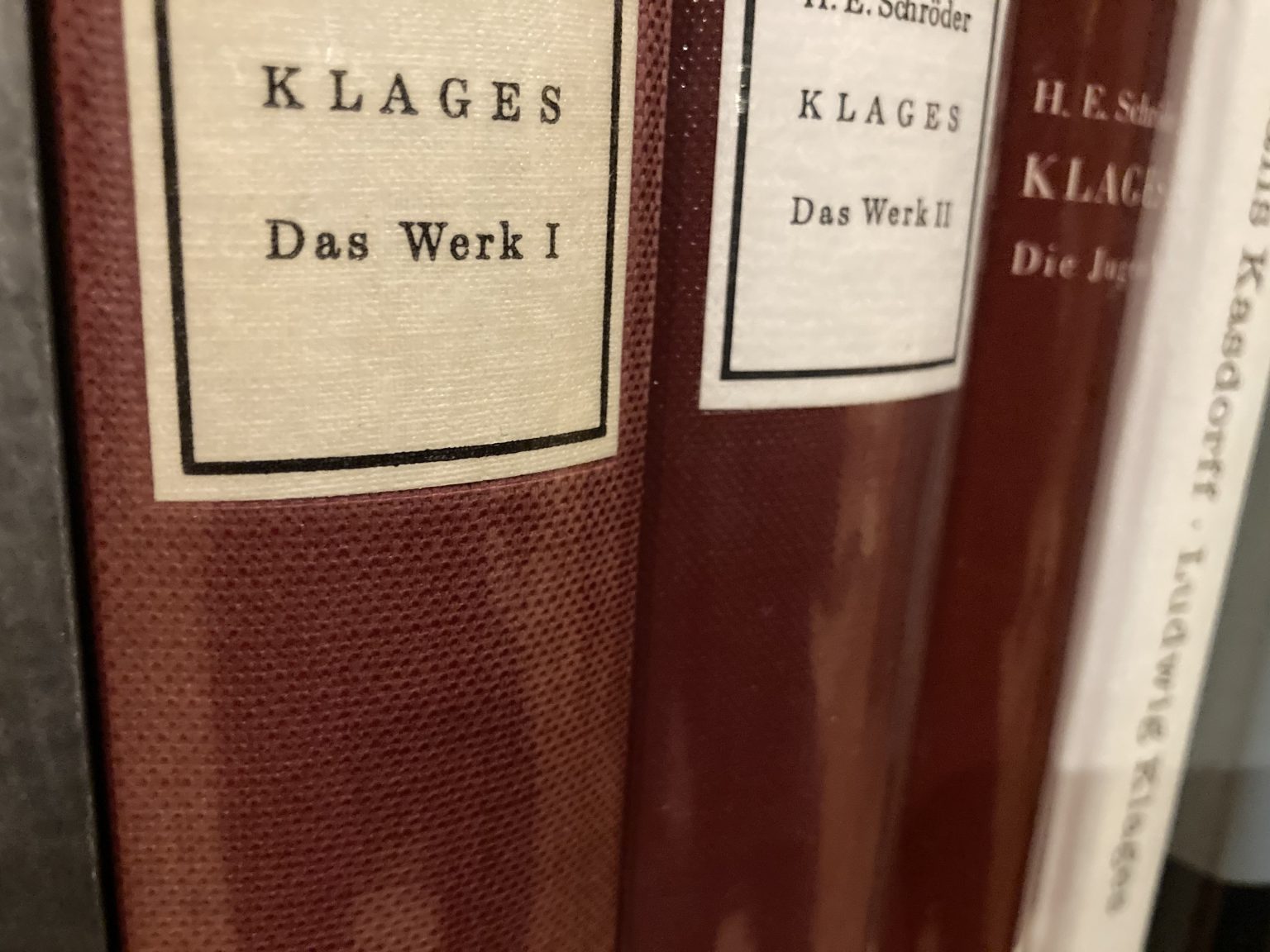 Ludwig Klages in Riga and Herder Institute Herdera institūts Rīgā